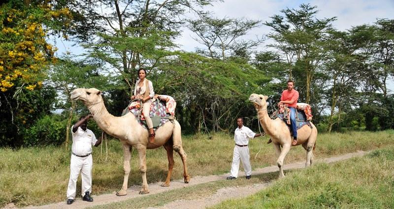 Sweetwaters Serena Camp Nanyuki Exterior foto