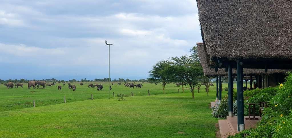 Sweetwaters Serena Camp Nanyuki Einrichtungen foto