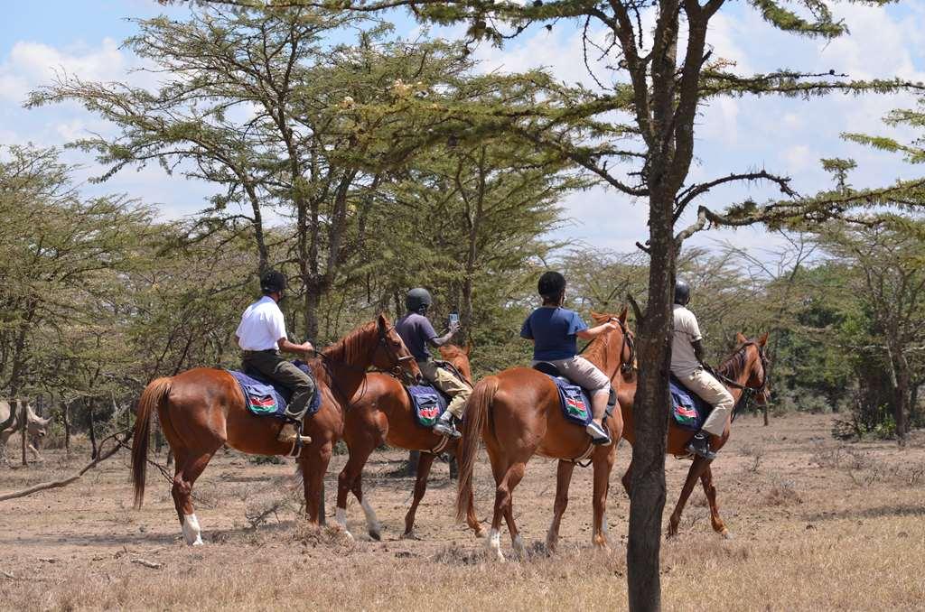 Sweetwaters Serena Camp Nanyuki Einrichtungen foto