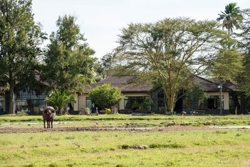Sweetwaters Serena Camp Nanyuki Exterior foto