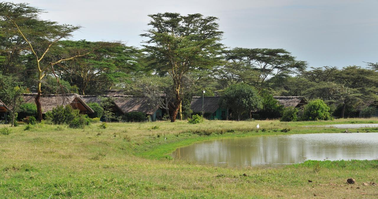 Sweetwaters Serena Camp Nanyuki Exterior foto