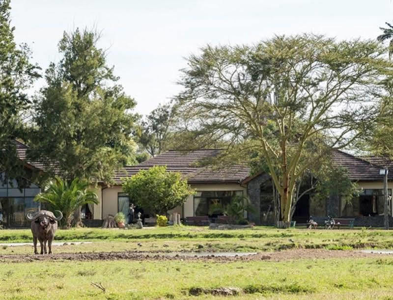 Sweetwaters Serena Camp Nanyuki Exterior foto
