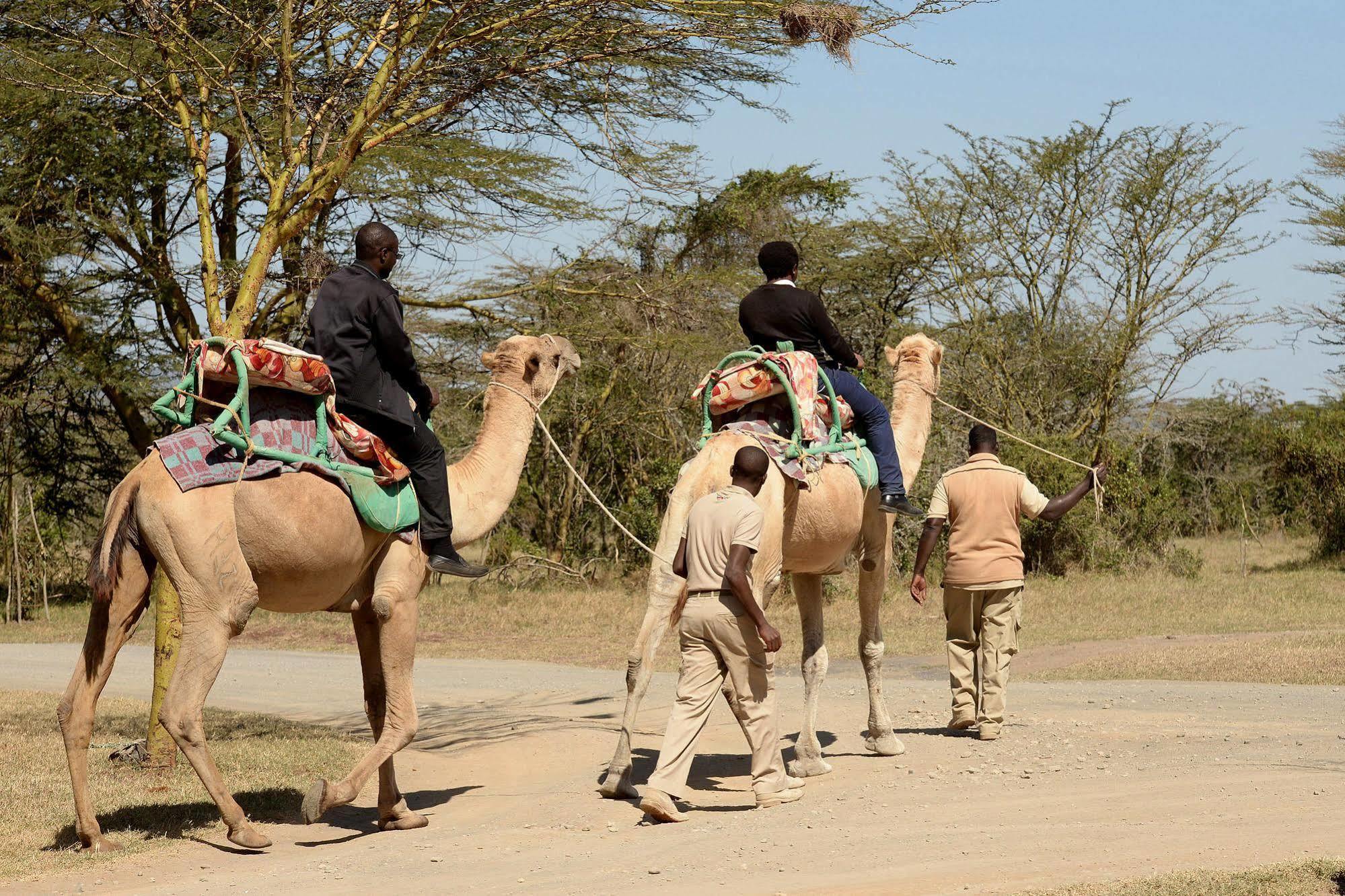 Sweetwaters Serena Camp Nanyuki Exterior foto