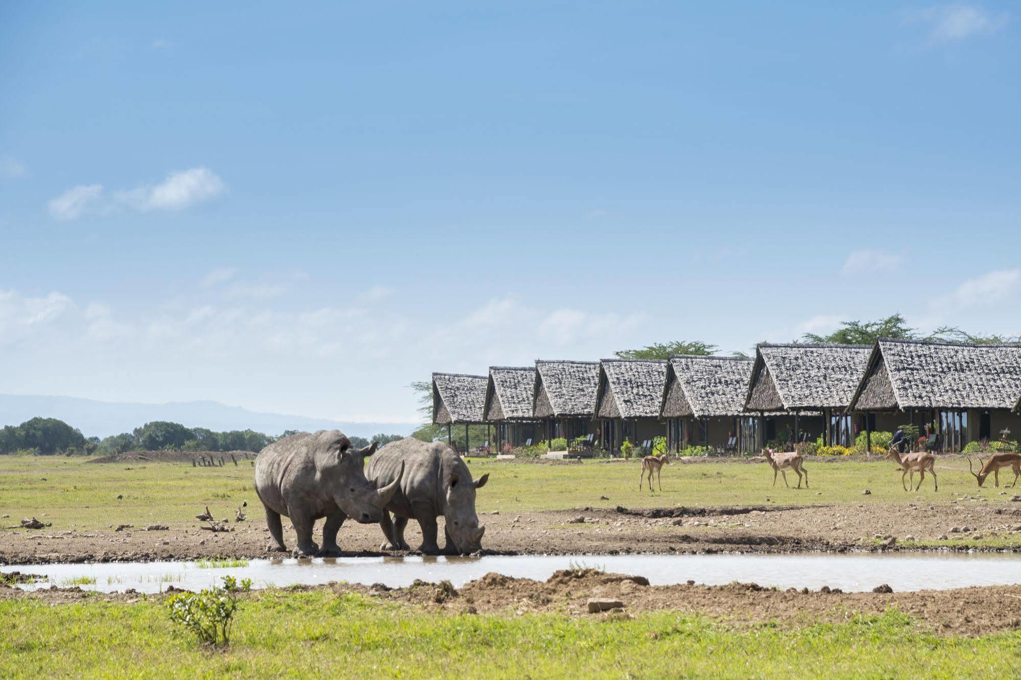 Sweetwaters Serena Camp Nanyuki Exterior foto